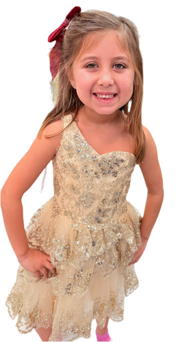 Little Girl Formal Dress