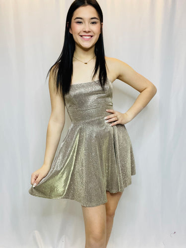 Sparkly Skater Dress