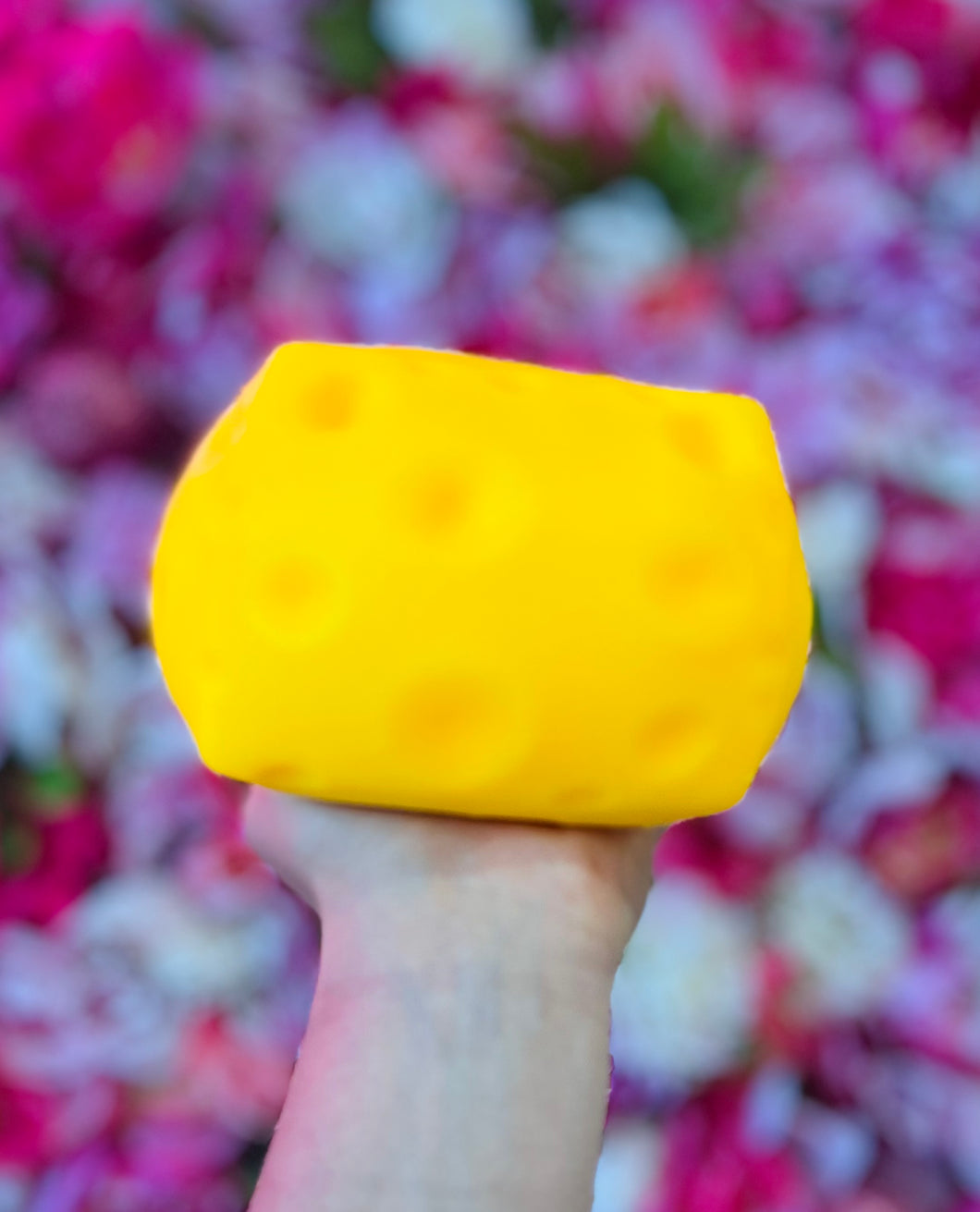 Large Cheese Squishy