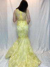 Lace Mermaid Dress